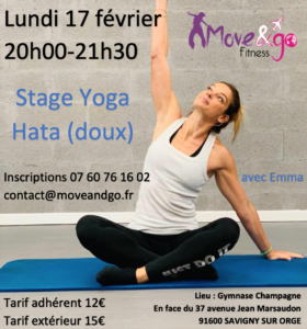 flyer Stage Yoga Hata 170220