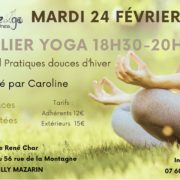 15 Stage Yoga 24fev26